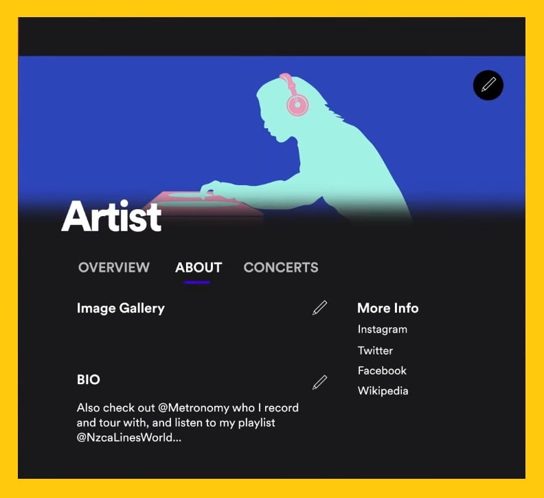 artist Spotify desktop bio - Becoming a Successful Spotify Artist Made Simple -  How to Spotify