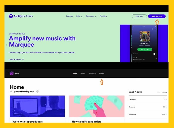 Spotify artist desktop app