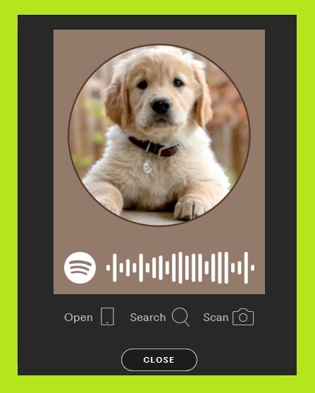 Spotify code - follow and add friends on Spotify - How to Spotify