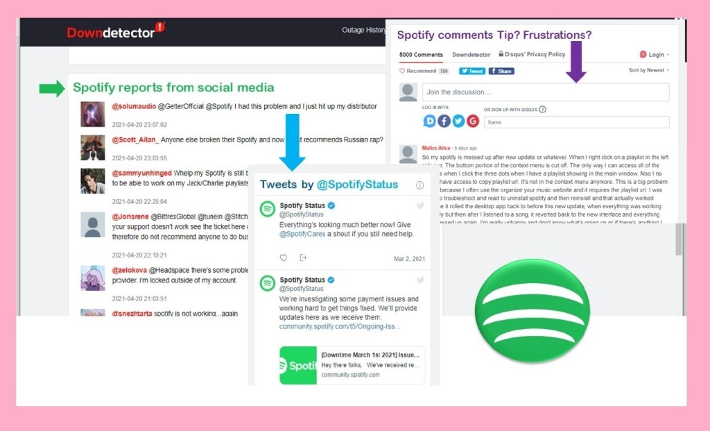 Spotify reports for social media 