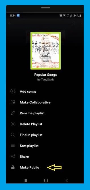 make secret Spotify playlist  - Spotify Playlists - How to Spotify