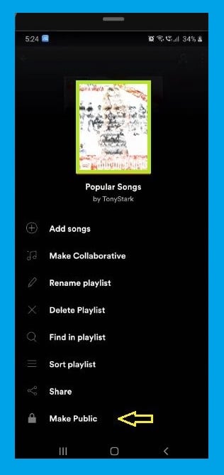 make public Spotify playlist  - Spotify Playlists - How to Spotify