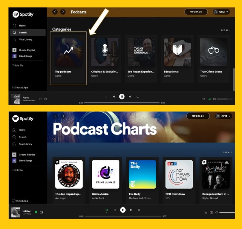 Spotify podcast chart  - Spotify podcast - How to Spotify