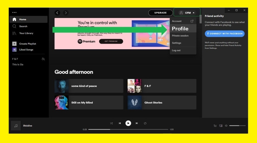 Spotify profile  