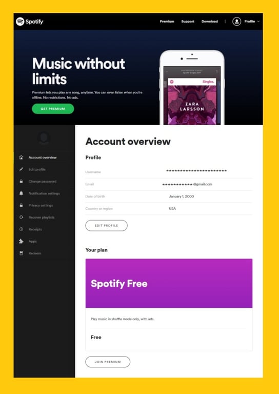 account overview Spotify - log in Spotify- how to Spotify