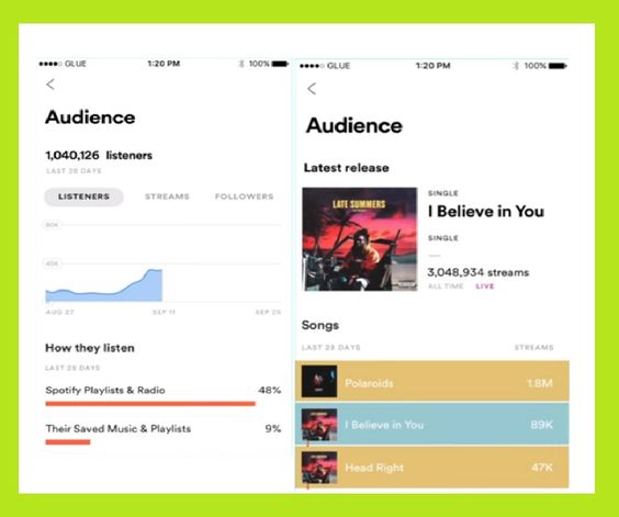 artist dashboard page- working with Spotify - How to Spotify